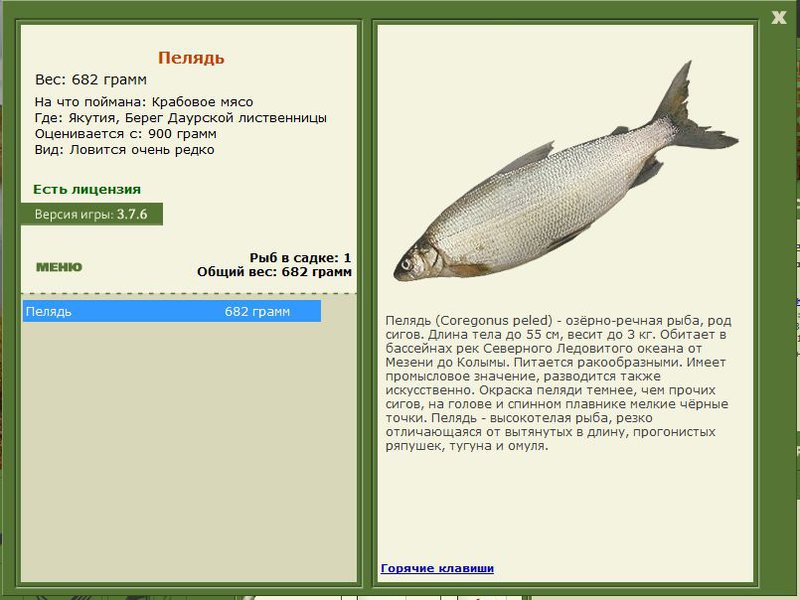 РУССКАЯ РЫБАЛКА Installsoft Edition 