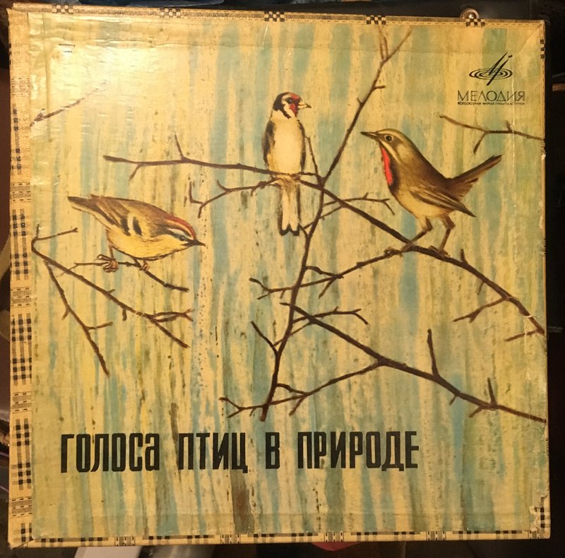  Редкий отечественный винил.