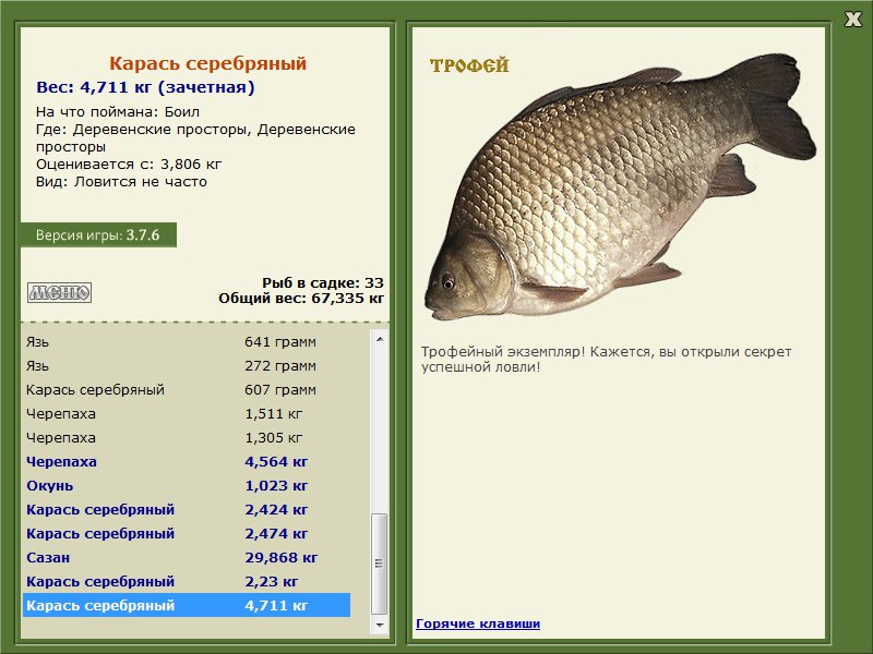 Деревенские просторы 