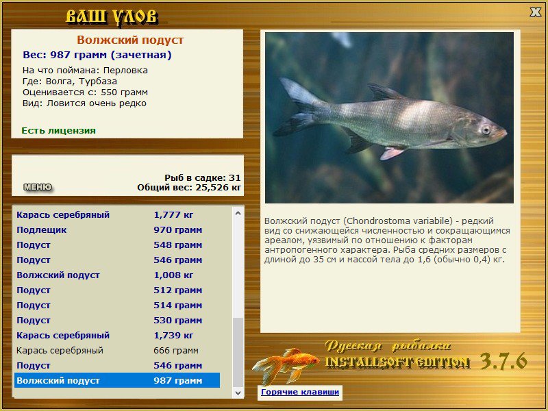 Russian Fishing 4, NASE 817Gr SEVERSKY DONETS RIVER - YouTube