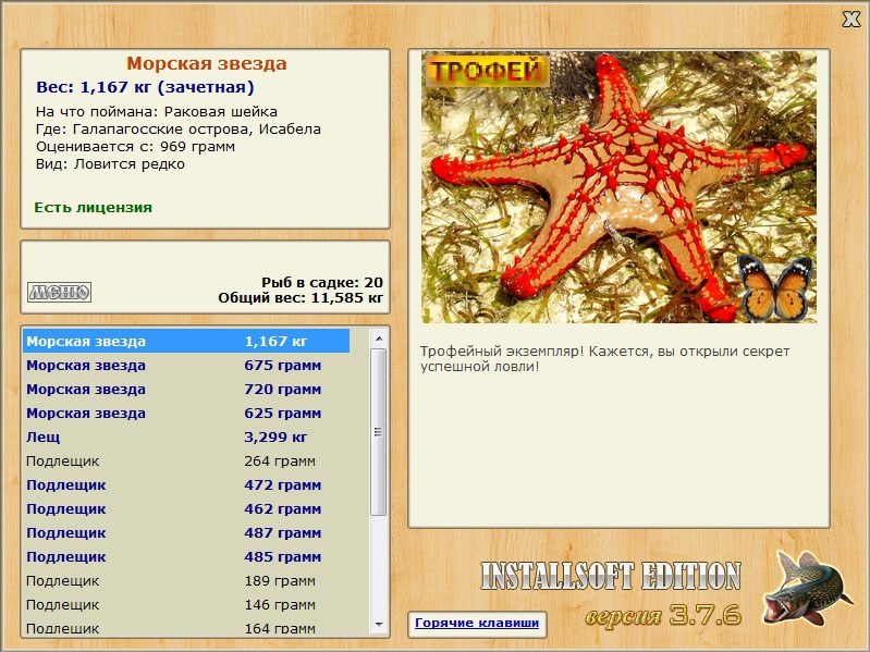 Морская звезда 