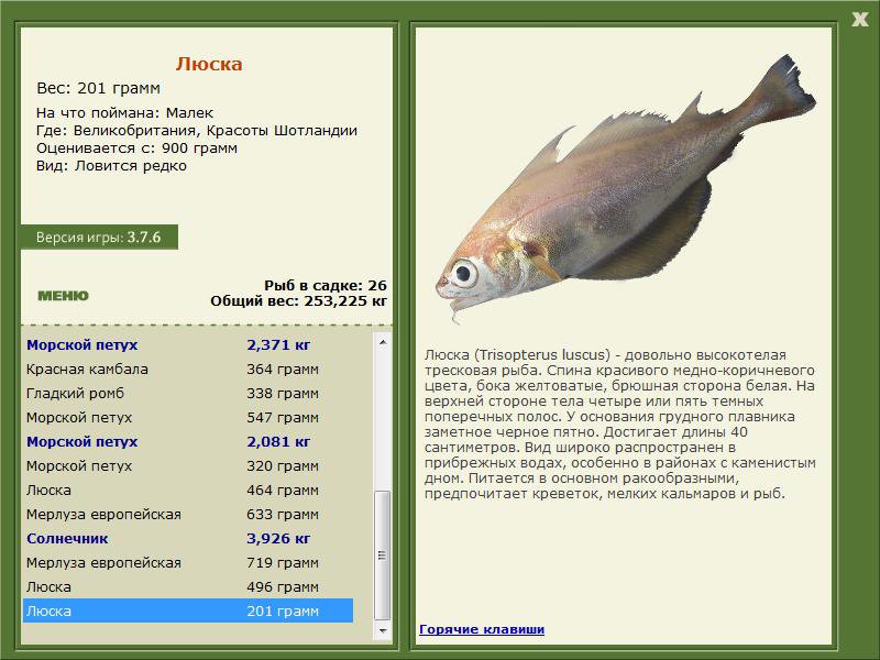 РУССКАЯ РЫБАЛКА Installsoft Edition 