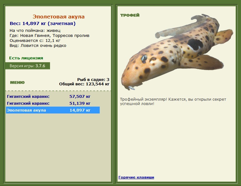 Торресов пролив 