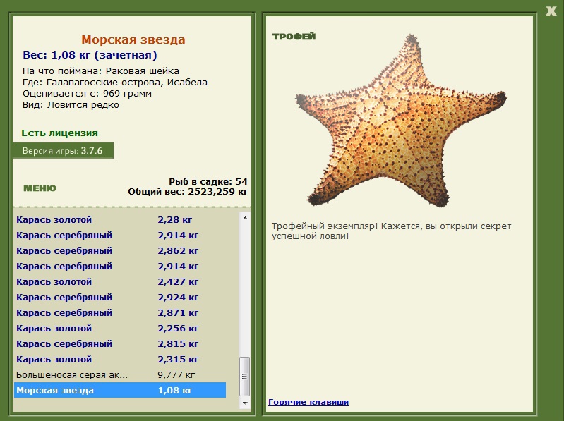 Морская звезда 