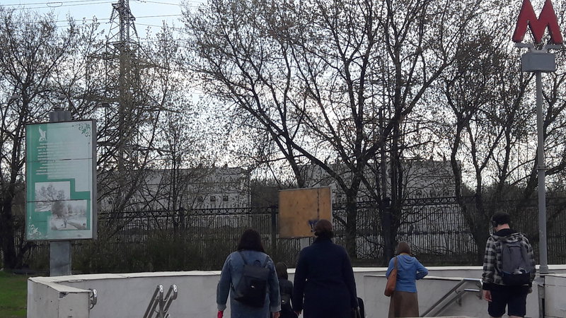  Ответить