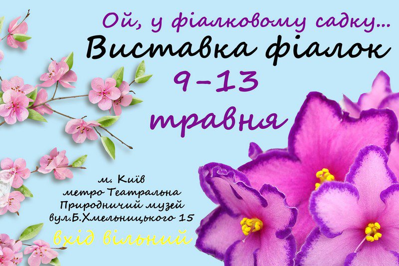 Виставка фіалок 9-13 травня, Київ 2018, Геснериевые от Ulmo, Фиалки, форум