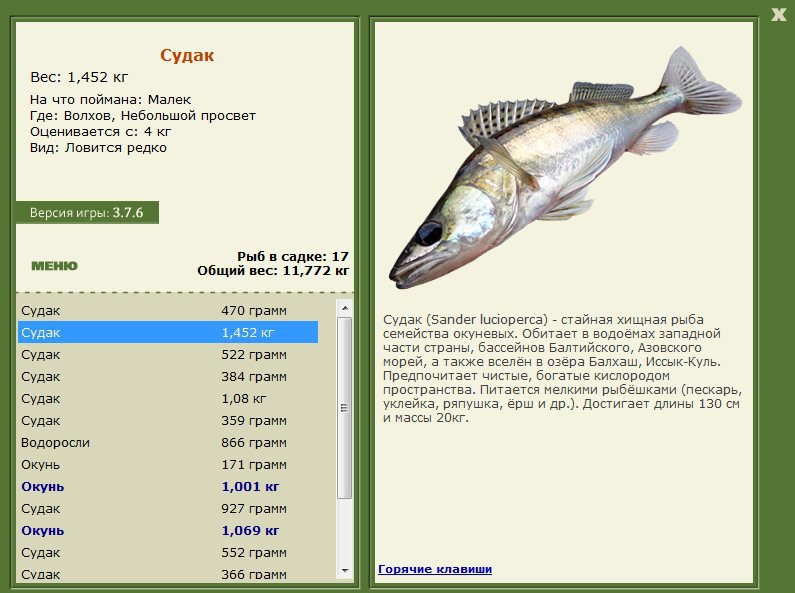Небольшой просвет 