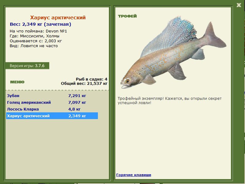 Хариус арктический 