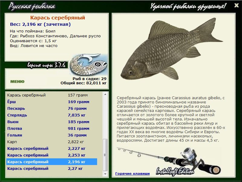 Дальнее русло 