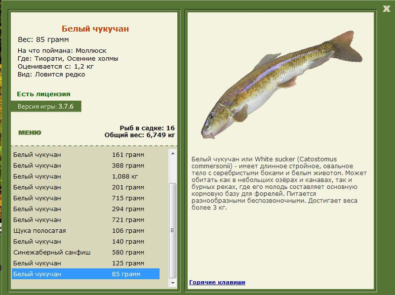РУССКАЯ РЫБАЛКА Installsoft Edition 
