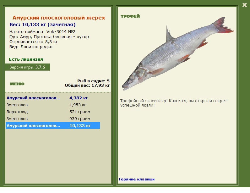  хутор • Амур • РУССКАЯ РЫБАЛКА