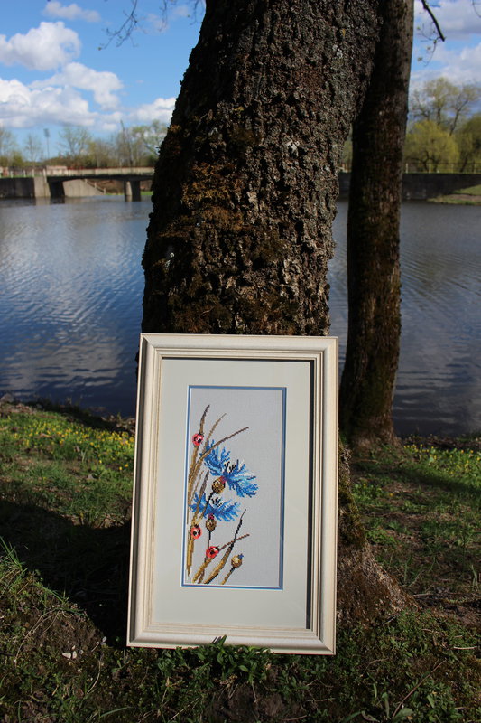 Овен „Pasivaik