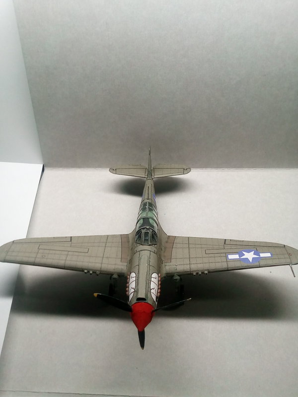 P-40N  примерно 1:48