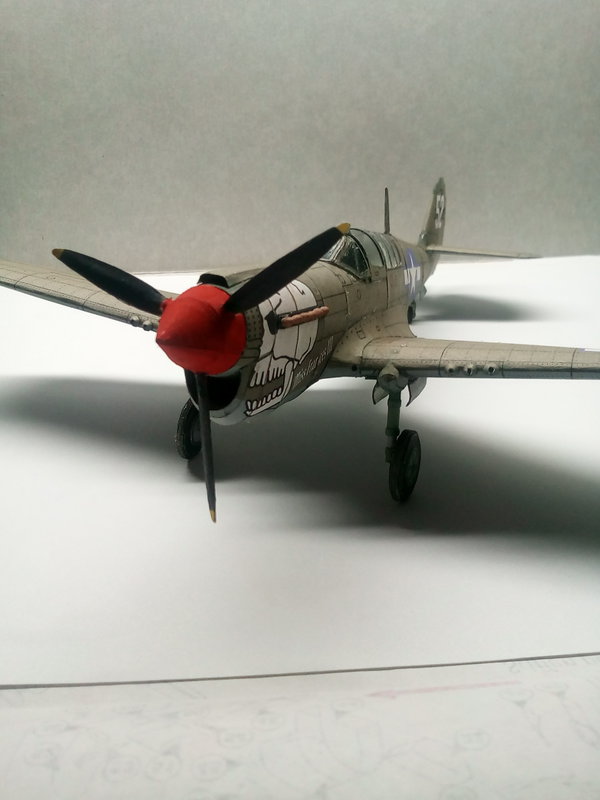 P-40N  примерно 1:48