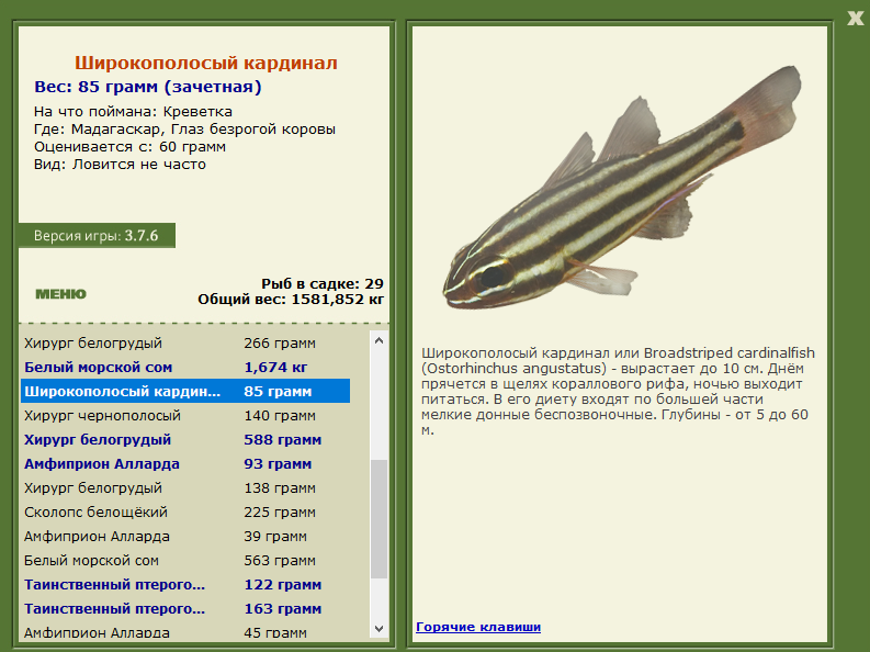 Глаз безрогой коровы 