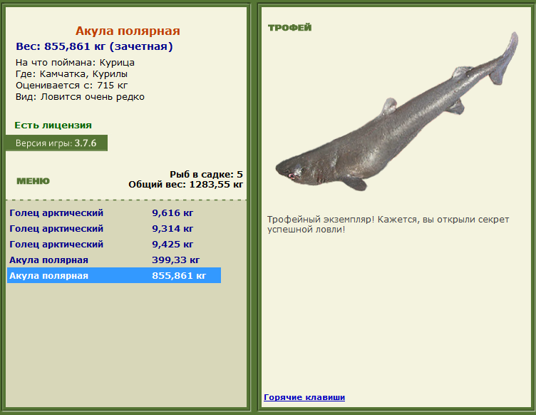 турниры • РУССКАЯ РЫБАЛКА