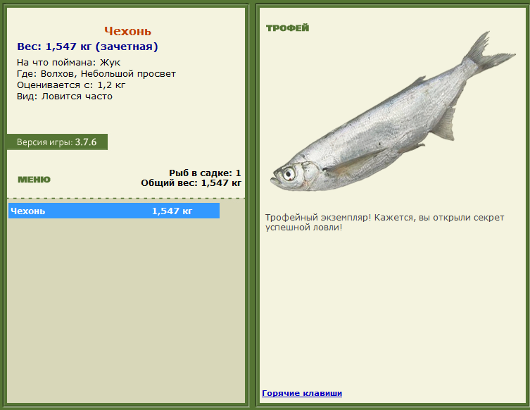 турниры • РУССКАЯ РЫБАЛКА