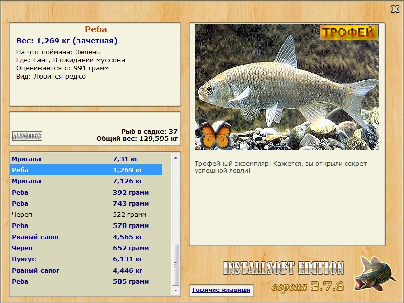Реба 