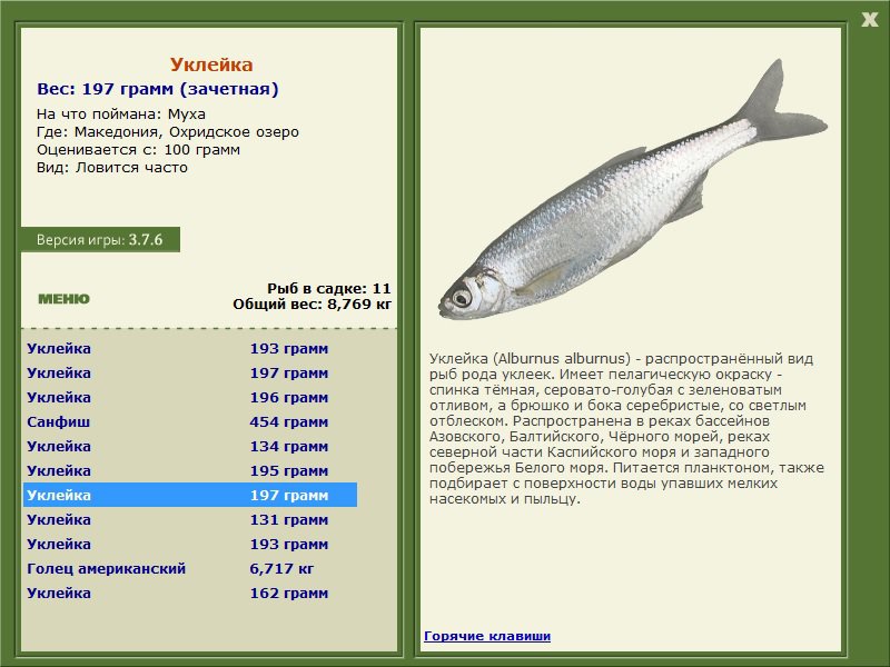 Охридское озеро 