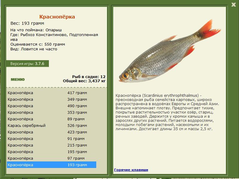 РУССКАЯ РЫБАЛКА Installsoft Edition 
