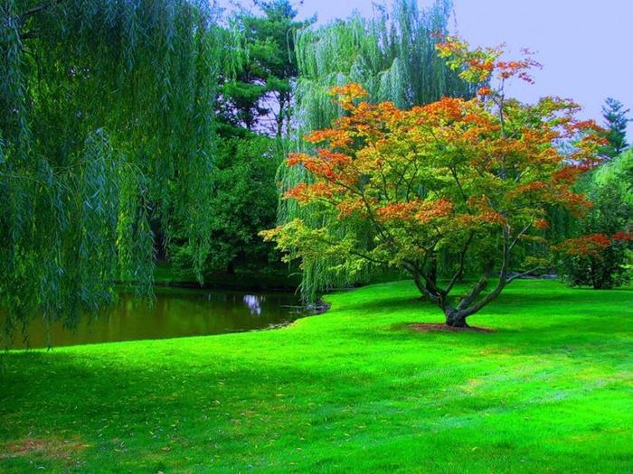  Просто красиво