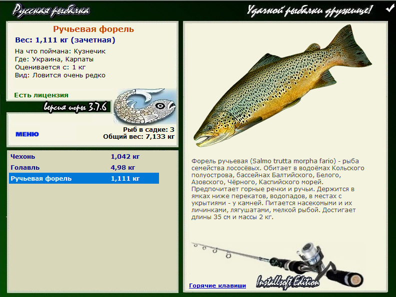 турниры • РУССКАЯ РЫБАЛКА