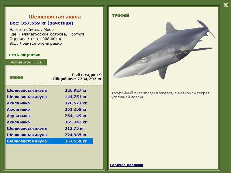 Шелковистая акула 