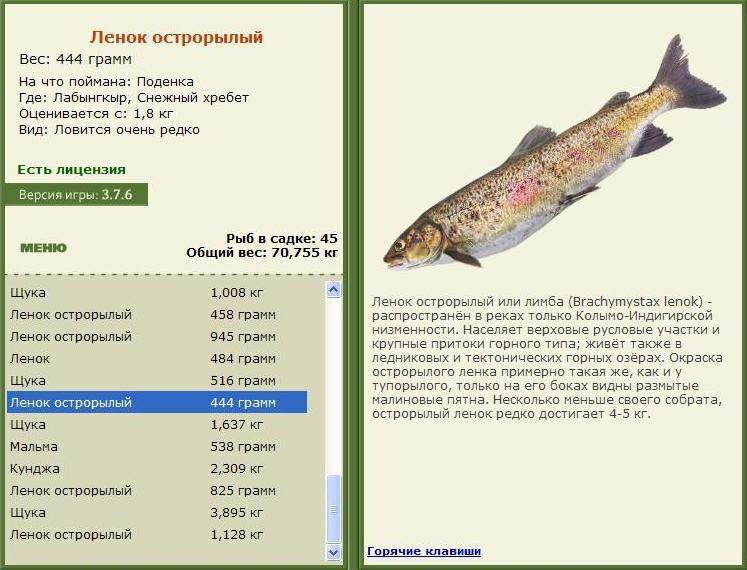турниры • РУССКАЯ РЫБАЛКА