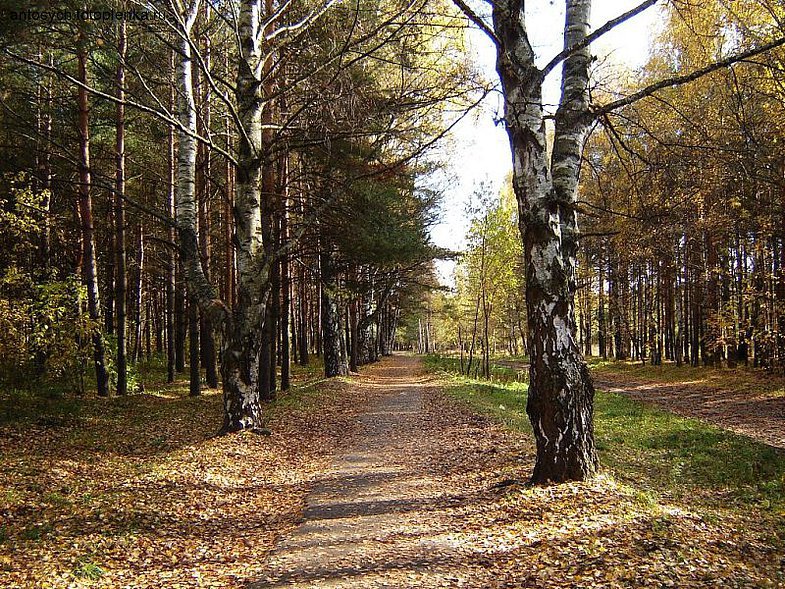 RT22.RU Радиотехника 20 века, форумы 