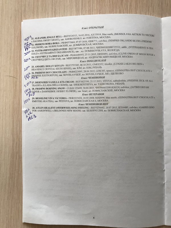  Выставка в ОДИНЦОВО