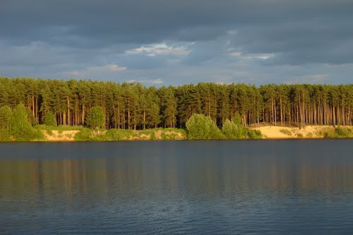 RT22.RU Радиотехника 20 века, форумы 