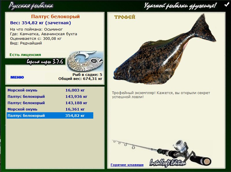 Палтус белокорый 
