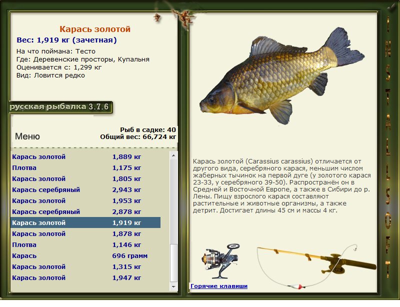 турниры * РУССКАЯ РЫБАЛКА