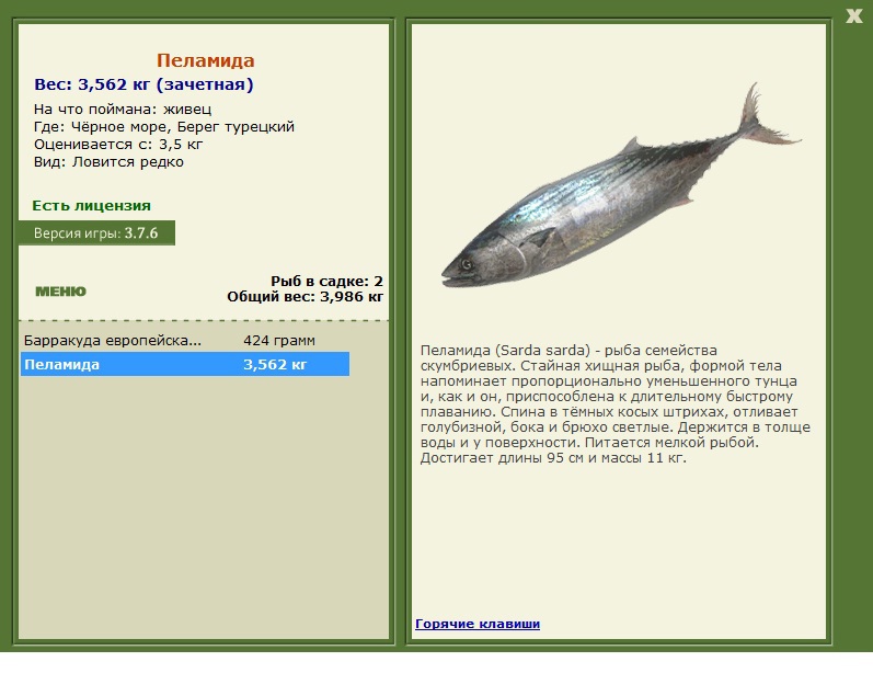 Пеламида рыба черноморская фото и описание РУССКАЯ РЫБАЛКА Installsoft Edition