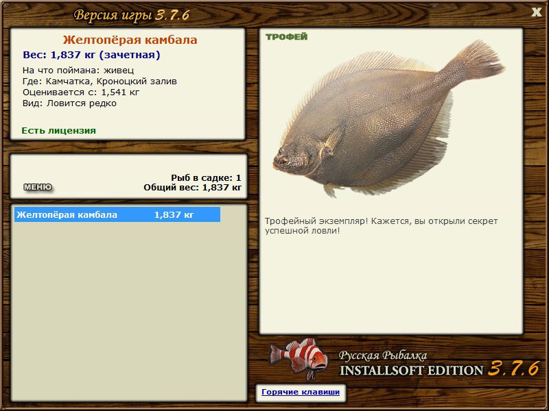 Кроноцкий залив 