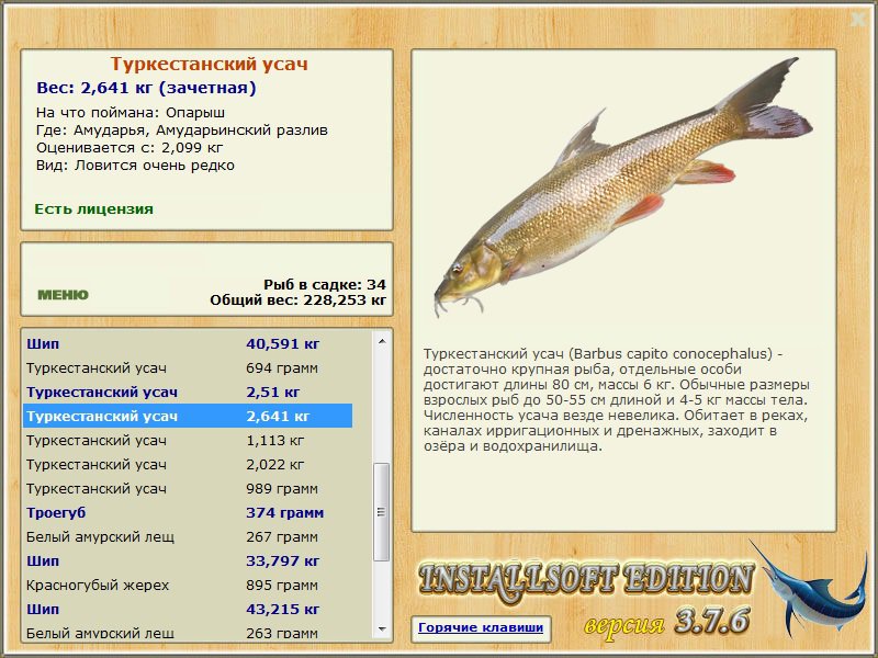 Амударья 