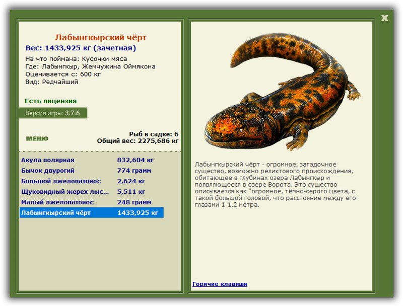 Учимся использовать BBcode в сообщениях 