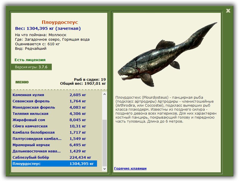 Учимся использовать BBcode в сообщениях 