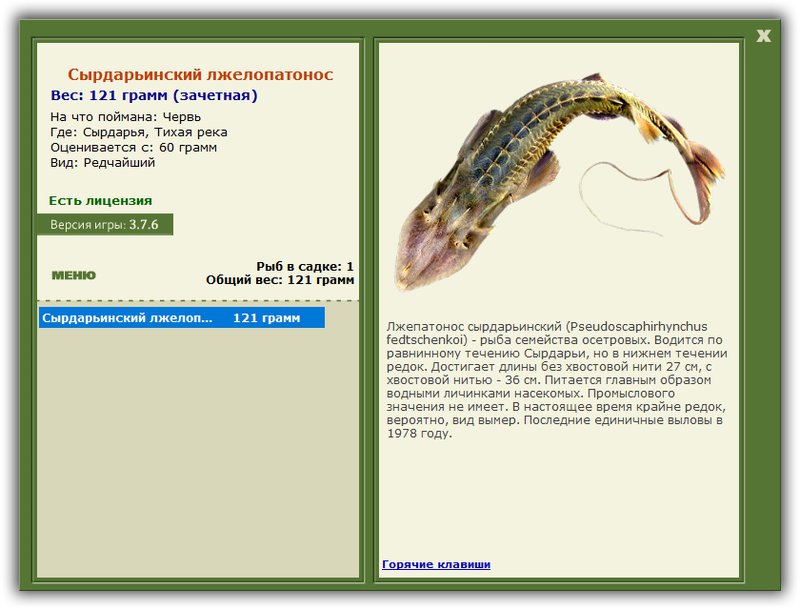 Учимся использовать BBcode в сообщениях 