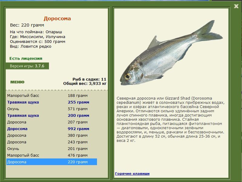 РУССКАЯ РЫБАЛКА Installsoft Edition 