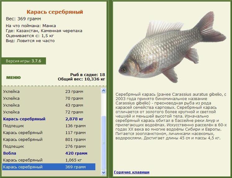 Каменная черепаха 