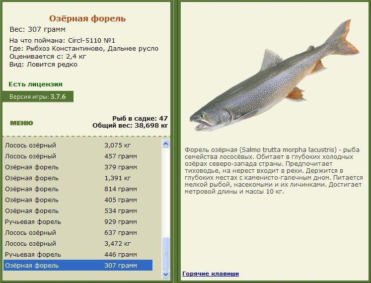 Дальнее русло 