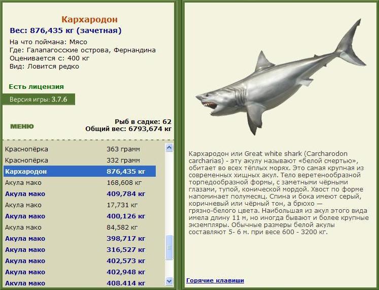 Фернандина 