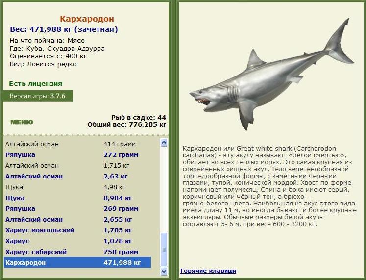Скуадра Адзурра 