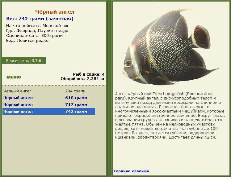 Паучье гнездо 