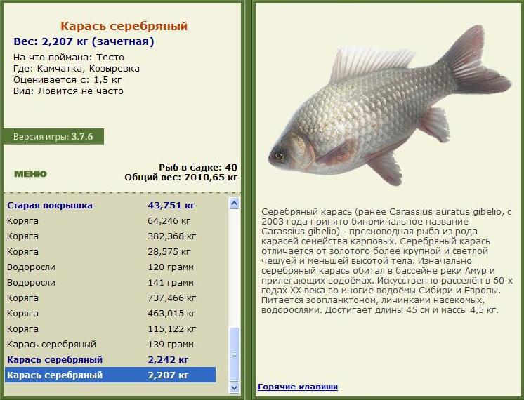 Козыревка 