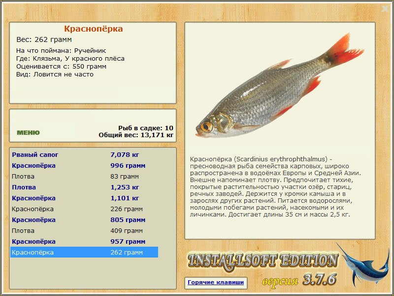 турниры • РУССКАЯ РЫБАЛКА