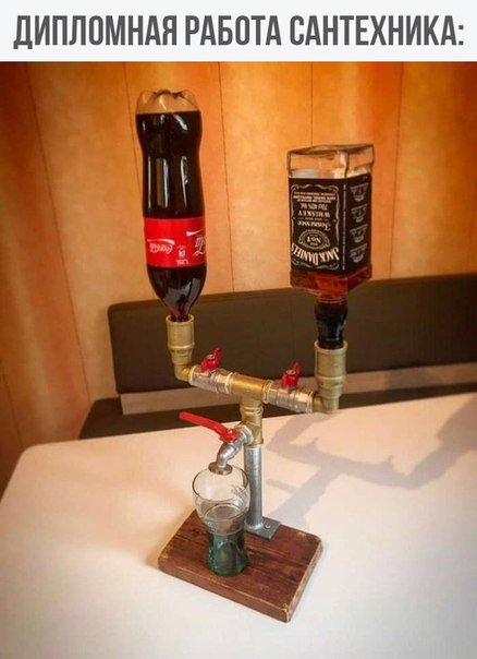  Прикольные фото