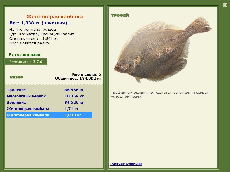 Кроноцкий залив 