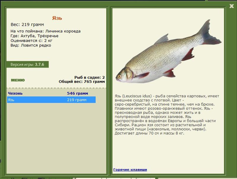 РУССКАЯ РЫБАЛКА Installsoft Edition 